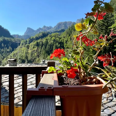 Abri Vigneroisa Miserin